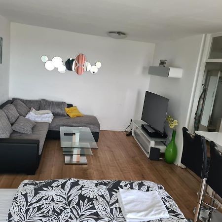 Sehr Schoene Drei Zimmer Deluex Wohnung In Зинделфинген Екстериор снимка