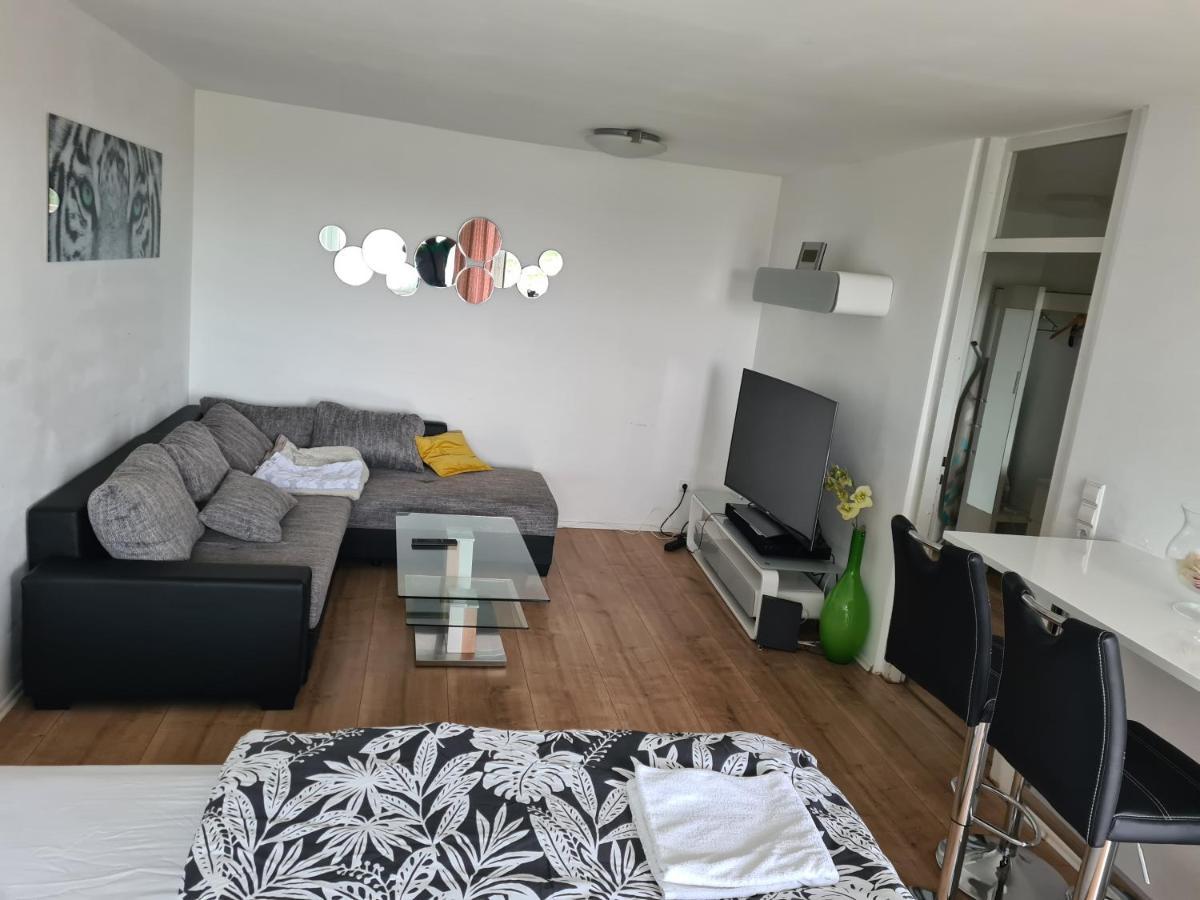 Sehr Schoene Drei Zimmer Deluex Wohnung In Зинделфинген Екстериор снимка