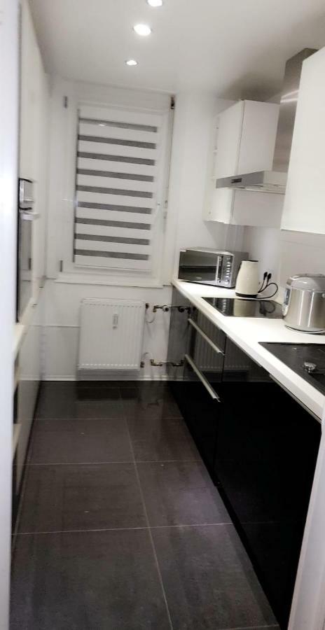 Sehr Schoene Drei Zimmer Deluex Wohnung In Зинделфинген Екстериор снимка