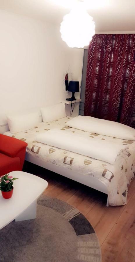Sehr Schoene Drei Zimmer Deluex Wohnung In Зинделфинген Екстериор снимка