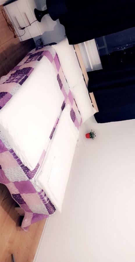 Sehr Schoene Drei Zimmer Deluex Wohnung In Зинделфинген Екстериор снимка